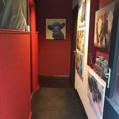 Bullock's Barn